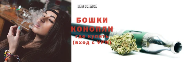 спайс Алексин