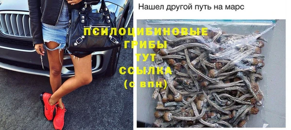 спайс Алексин