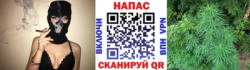 Конопля Ganja  продажа наркотиков  Березники 